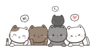 9月14日　譲渡会参加猫たち